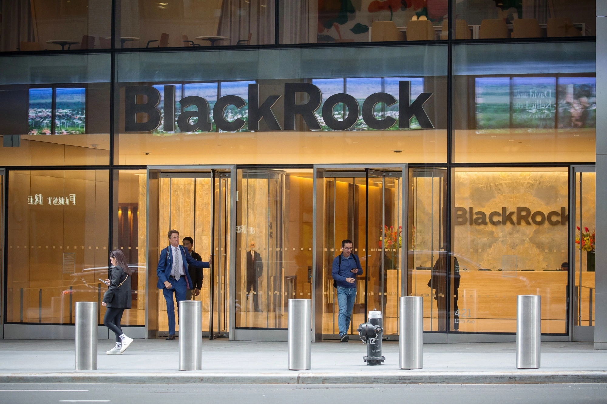 BlackRock logo: A bold, minimalist design symbolizing strength and stability in the financial industry.